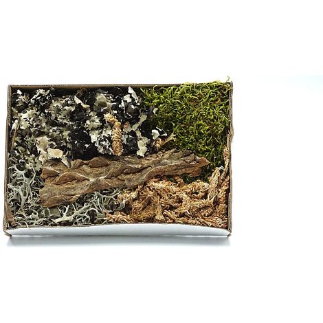 Set di dettagli decorativi a tema foresta in un vaso di vetro tropicale