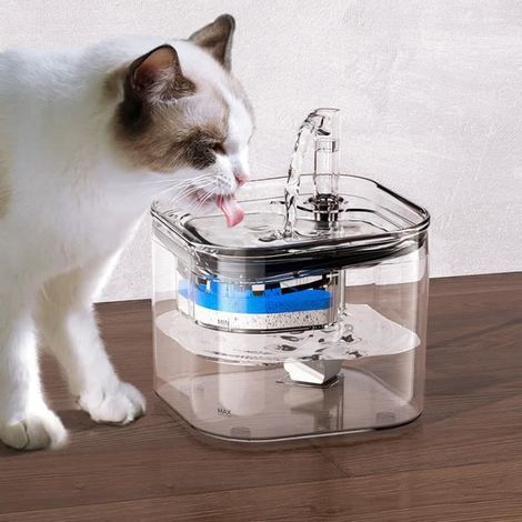 Fontaine à eau - Non spécifié - 2,2L - Silencieuse - Transparente - Pour Chats et Chiens (1/4)