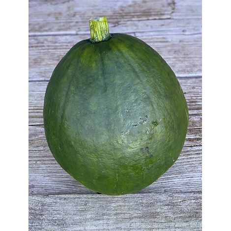 Potiron courge 'du Pérou' le sachet de 10 graines (3g) (1/2)