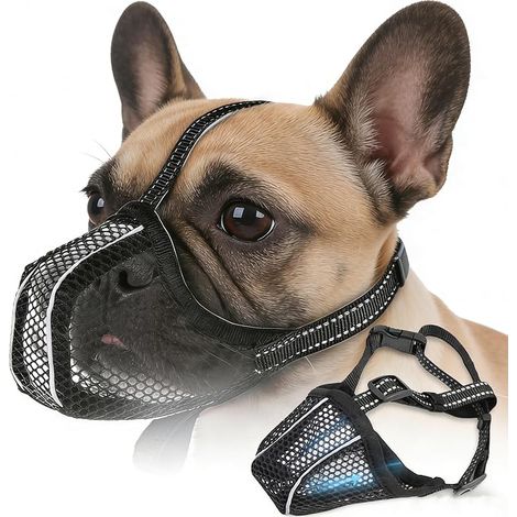 Muselière pour Chien, Respirante, réglable, réfléchissante, Protection, pour Chiens, Panier, en Maille, Noire, Taille S (1/5)