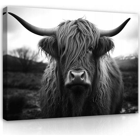 Peinture Murale sur toile vache écossaise pour chambre coucher salon moderne 40x30 (1/3)