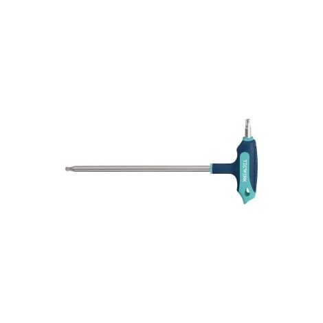 DESTORNILLADOR EN T B/TORX T-1 (1/3)