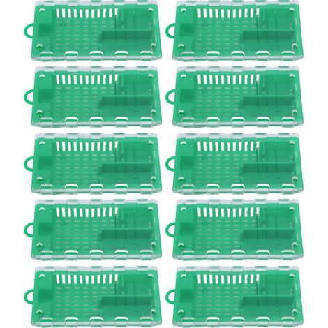Queen bee cage, 10 pieces, plastic transport catcher, beekeeping supplies, green equipment (1/5)