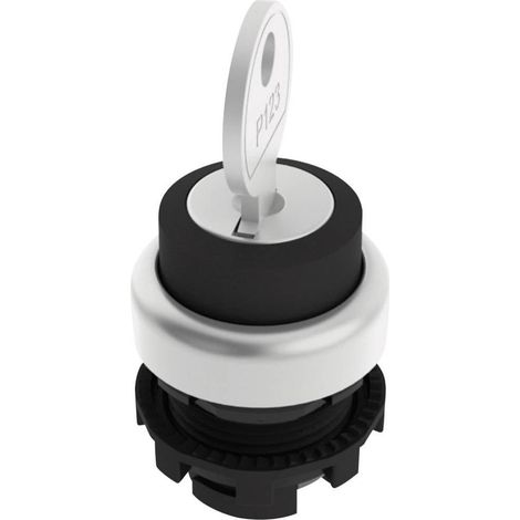 [NEUWERTIG] B-Ware Pizzato E21 Sc2 Dva19 Aa Schlüsselschalter Schwarz 1 X 90 ° Schalter Betätiger