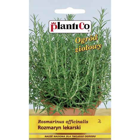 Semillas polan rosmarinus officinalis sol fácil de cultivar