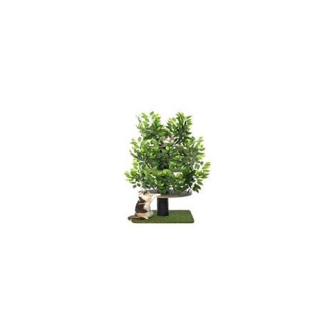 MaxxPet Kattenboom - Krabpaal - Kattenboom met bladeren - Krabpaal voor Katten - Krabton - 60x60x160cm