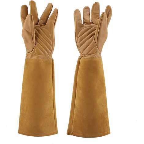 Gants de jardinage en cuir pour élagage de rosiers, résistants à l'usure et aux perforations, gants de travail longs, marron, taille M.