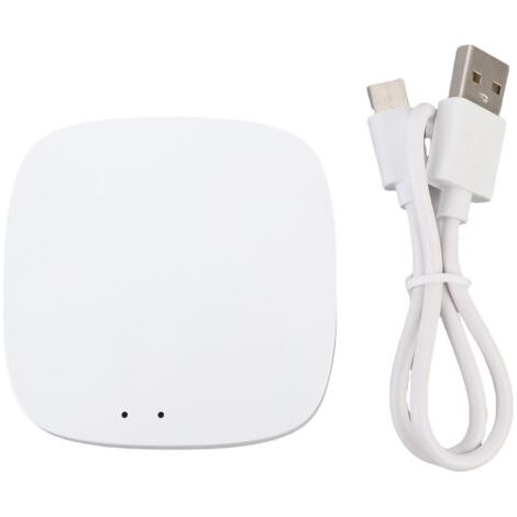 Prise en charge de la passerelle intelligente sans fil pour Zigbee 2.0 Hub d'appareil domestique WiFi Bridge télécommande blanc