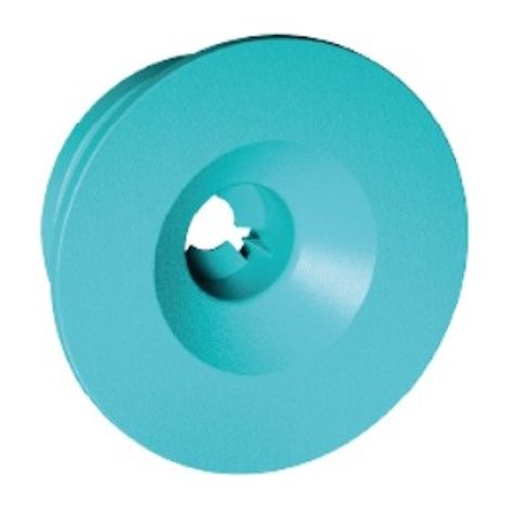 RISCONTRO A BOTTONE BLU per Type2