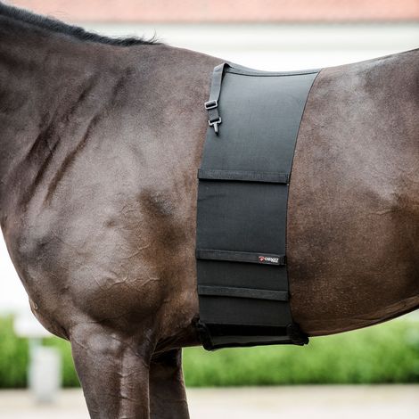 Catago Body Shield - Körperschutz für Pferde - schwarz - S - 170 cm (1/3)