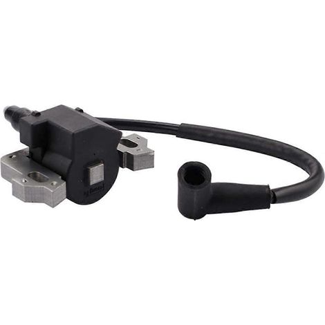 Bobine d'allumage pour moteur Honda GC135 GC160 GCV135, référence 30500-ZL8-004 (1/5)