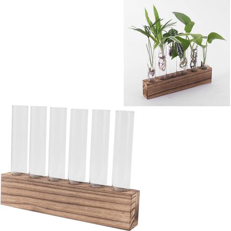Vase hydroponique en verre, support en bois grillé au charbon de bois, style minimaliste et frais, pour plantes de lierre vert (six tubes). Décoration de bureau pour la maison. (1/5)