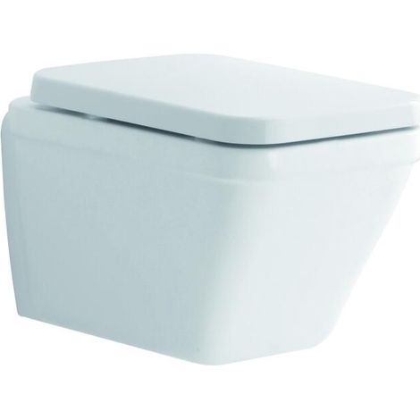 GE Era WC-Sitz, weiß Scharniere verchromt mit Absenkautomatik (1/2)