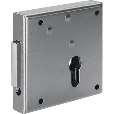 Verrou de grille avec serrure à ressort 100 DIN re.PZ posé 65 mm (1/4)