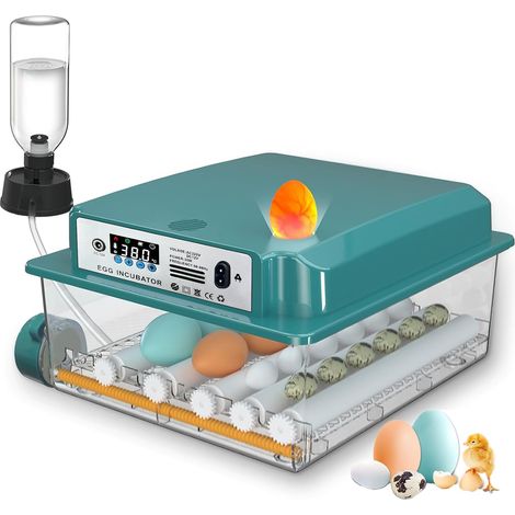Couveuse Oeuf Automatique, Incubateur Oeuf Automatique 12-16 Oeufs avec Retournement Automatique des œufs et Ajout Automatique d'eau, Couveuses pour œufs de Volailles