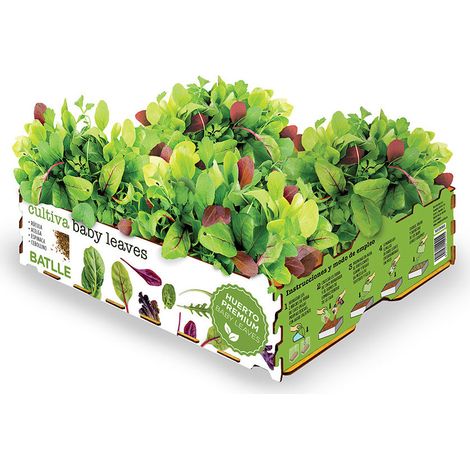 Boîte à salade - Batlle - Jeunes feuilles - 4 variétés - Dimensions 40x29x10,5 cm - Poids 2,6 kg (1/3)