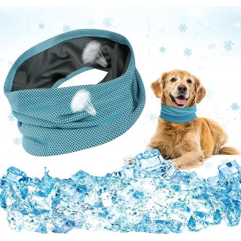 Fascia rinfrescante per cani, collare rinfrescante per cani, bandana rinfrescante per cani, fascia rinfrescante, collare rinfrescante per cani, collare rinfrescante per cani, bandana rinfrescante per  (1/5)