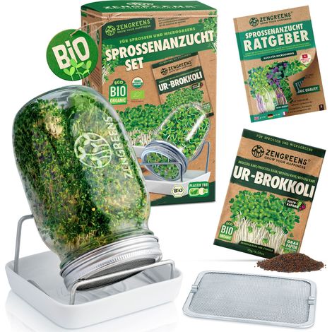 Sprossenglas Set 1 L mit Ständer Keramikschale und Bio Keimsaat