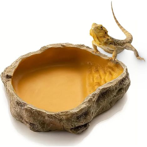 Gamelle d'Eau et de Nourriture Aspect Roche Naturelle pour Reptiles Amphibiens Lézards Tortues Geckos (1/5)