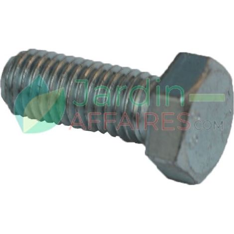 Vite Uni 5933 M 10 x 30 Delmorino 40100342