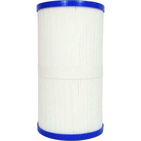 Lot de 2 filtres de spa FD2001 compatibles avec les éléments filtrants de remplacement PRB25-IN , C-4326 et FC-2375 (1/4)