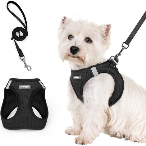 Harnais Chien Petite Taille avec Laisse 156cm, Noir, S (1/5)