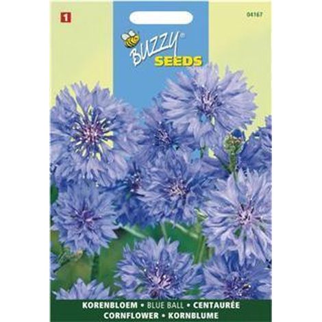 Centaurée bleuet à fleurs doubles - Centaurea cyanus