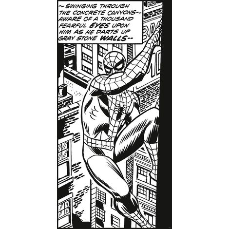 papier peint panoramique Spider-Man noir et blanc - Komar (1/3)