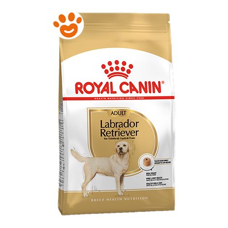 Royal Canin Dog Adult Labrador Retriever  - Royal Canin Dog Adult Labrador Retriever - Sacco Da 3 Kg