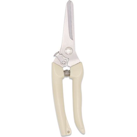 Ciseaux de Jardinage pour Grosses Branches - Outils de Taille pour Bonsaï et Jardins - KZQ (1/2)