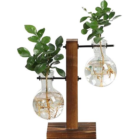 Hydroponics vase plant vase hanging vase glass vase table vase decorative vase with wooden holder glass vase for hydroponic plants home or office decoration (1/5)