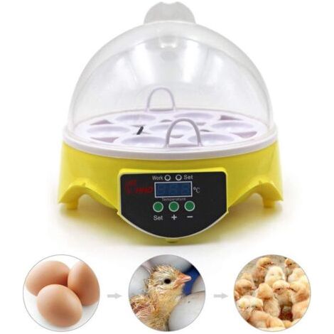 Incubadora para 7 huevos, incubadora para huevos de gallina, incubadora para pollitos, control automático de temperatura y pantalla digital LED de temperatura. (1/5)