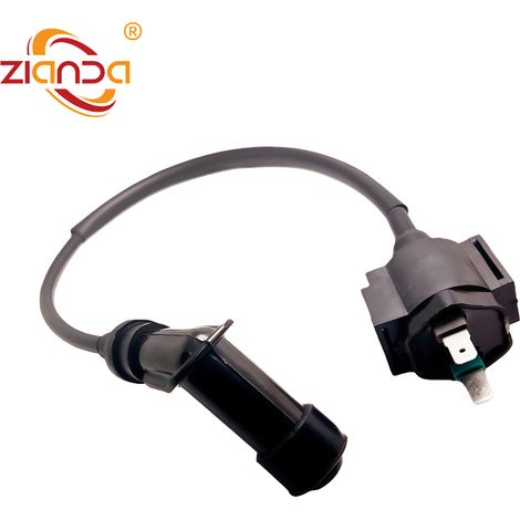 Applicable au transformateur haute tension 30500-VM5-405 pour Honda TRX500FA Foreman Rubicon 500 (1/2)