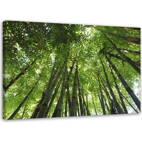 Cadre déco Bambou Forêt Nature 60x40 (1/5)