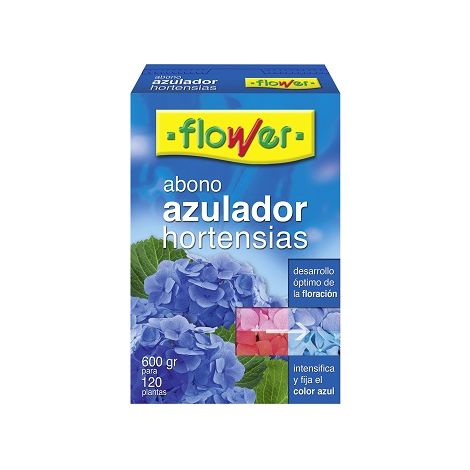 Blumenlsliche Hortensies Blugb