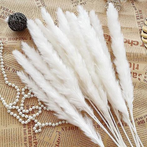 15 pièces de roseaux, épis de blé de la pampa, queue de lapin, fleurs séchées naturelles, bouquet, décoration de mariage, de Noël ou de décoration intérieure-white15pcs