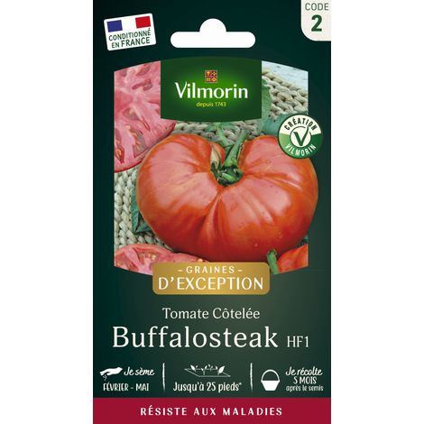 Vilmorin Tomate Buffalo Steak F1 - Graines d'Exception (1/2)