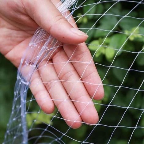 Filet anti-oiseaux polyvalent pour jardin, piscine, volière ou balcon – 5 x 5 m, maille carrée 2,5 cm, matière anti-âge résistante (1/4)