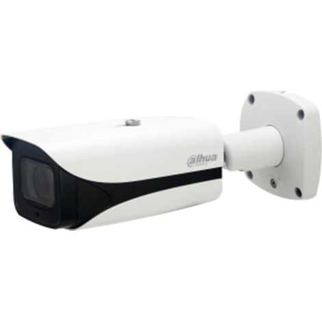 Caméra Compacte IP WizMind