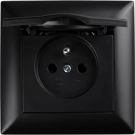 Toolight Single Grounded Socket With Flap And Frame Oste Jnh005-g Black (1/5)