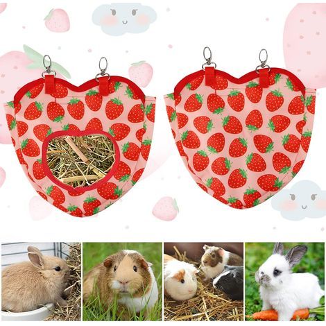 Strawberry Hay Bag for Rabbit/Hamster/Chinchillas with Buckle for Cage Attachment (Small Strawberry Hay Bag)