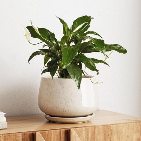 Ceramic Flower Pot, 25cm Plant Pot with Drainage Hole and Saucer, Durable Indoor Flower Pot for Modern Home Decoration, Beige (1/5)