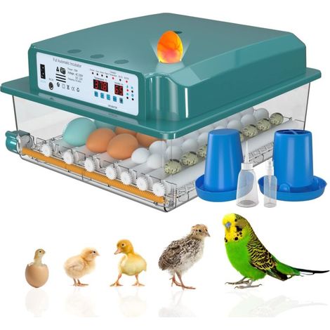 Couveuse Oeuf Automatique 24-36 Oeufs, Incubateur Oeuf Automatique, Retournement Automatique des œufs et Surveillance de l'humidité, Numérique Incubateur d'oeufs de Ferme- (1/5)
