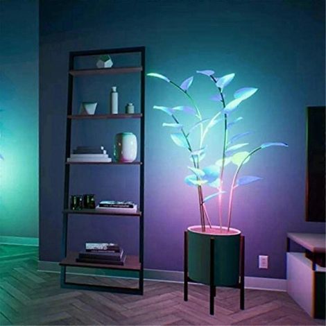 Lampe LED pour plantes d'intérieur veilleuse d'ambiance à couleur changeante idéale pour la décoration intérieure (voir photo). (1/5)
