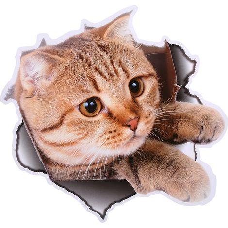 Decoración 3D de animales para inodoro y baño: pegatina de vinilo PVC impermeable, gato n.º 2, 21 x 22 cm, 1 unidad.