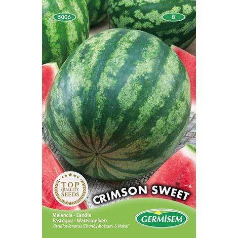 graines Pastèque CRIMSON SWEET