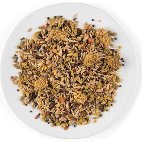 WITTE MOLEN PUUR CANARY 750g  alimento específico para canarios (1/4)