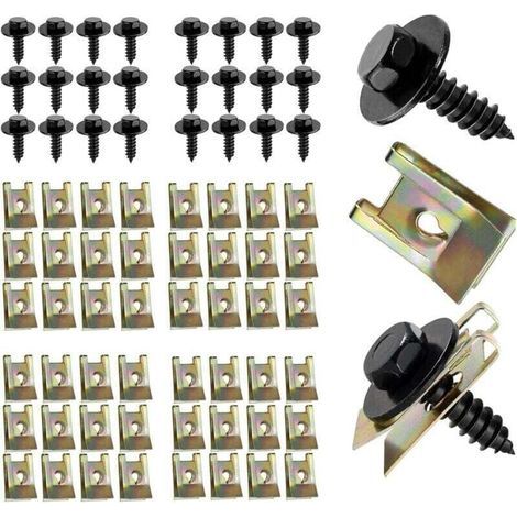 Kit de fijación para coche de 100 piezas: Clips y tornillos de plástico para motor, guardabarros y paneles interiores. (1/5)