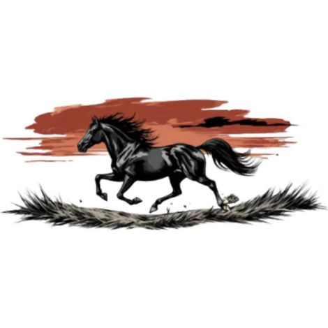 Autocollant cheval pour voiture, camping-car ou caravane. Installation rapide et unique. (1/5)