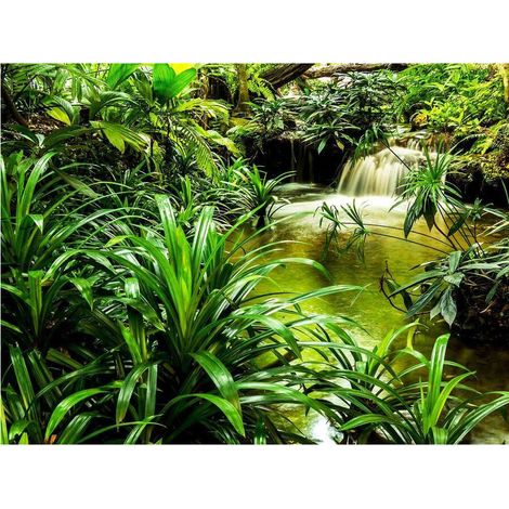 Jungle waterfall lagoon, photo murale intissée, 360x270 cm, 4 parts (1/3)